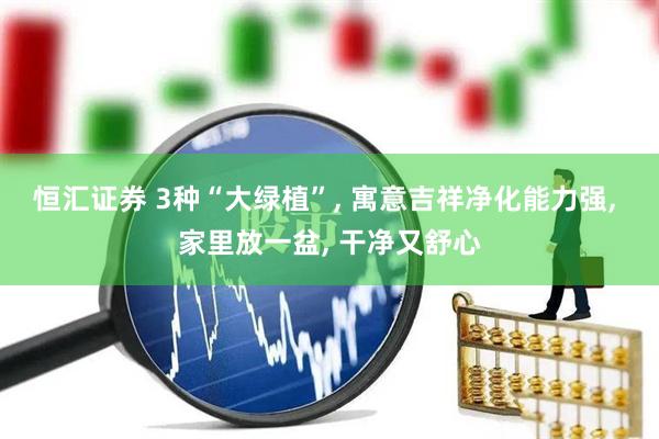 恒汇证券 3种“大绿植”, 寓意吉祥净化能力强, 家里放一盆, 干净又舒心